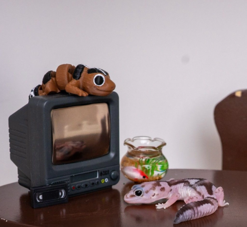 Ȯ�� �̹���