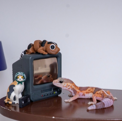 Ȯ�� �̹���