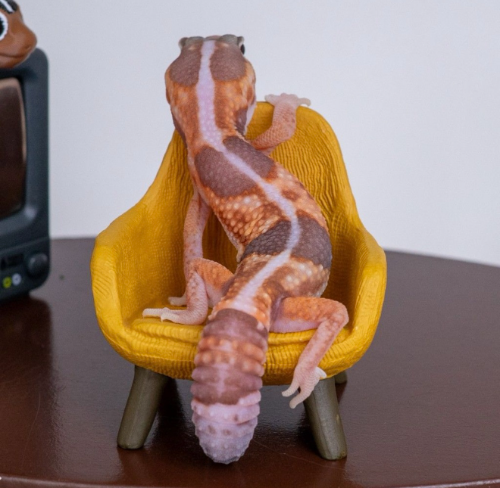 Ȯ�� �̹���