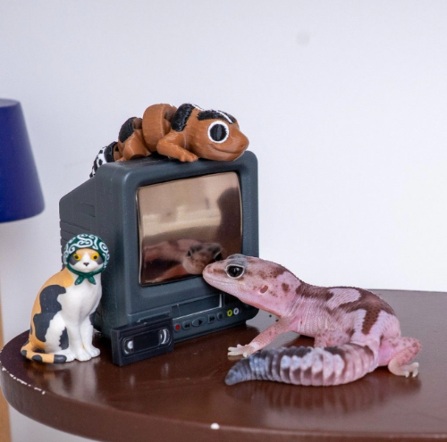 Ȯ�� �̹���