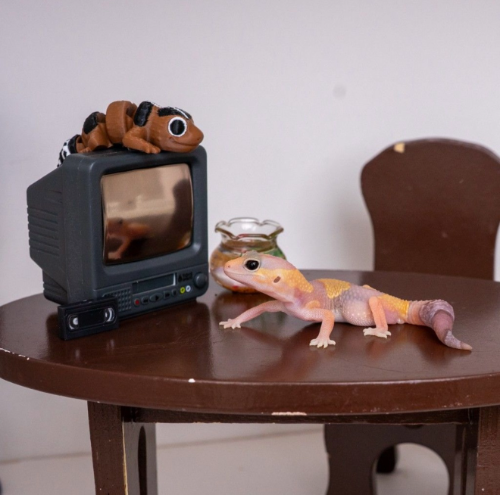 Ȯ�� �̹���