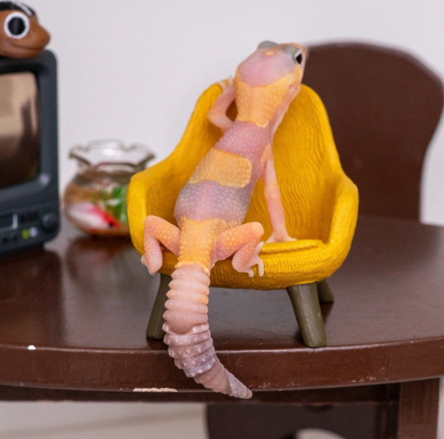 Ȯ�� �̹���