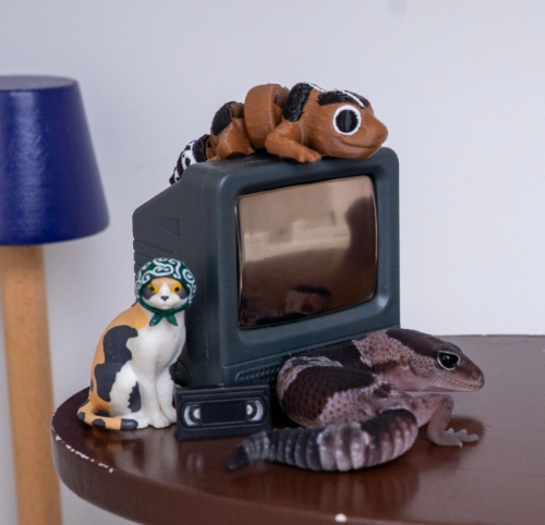 Ȯ�� �̹���