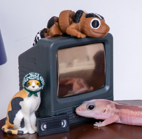 Ȯ�� �̹���