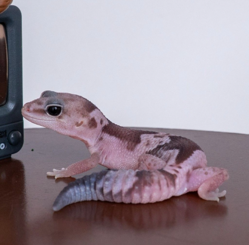 Ȯ�� �̹���