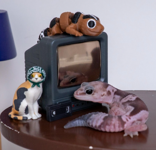 Ȯ�� �̹���