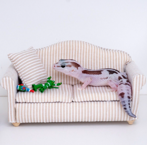 Ȯ�� �̹���