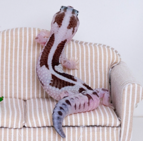 Ȯ�� �̹���