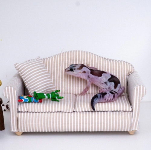 Ȯ�� �̹���