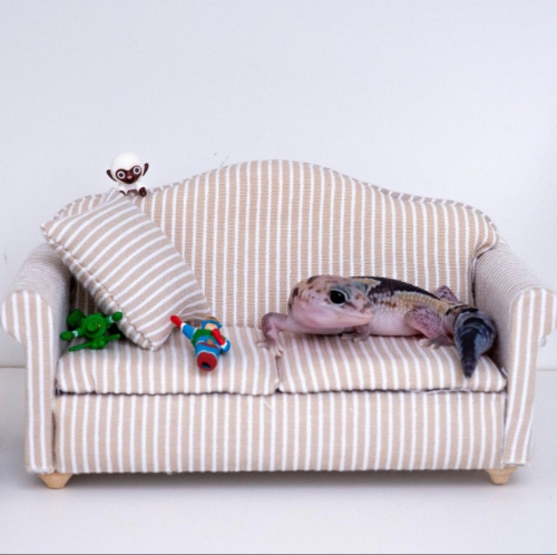 Ȯ�� �̹���