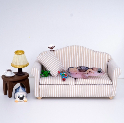 Ȯ�� �̹���