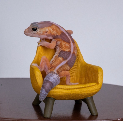 Ȯ�� �̹���