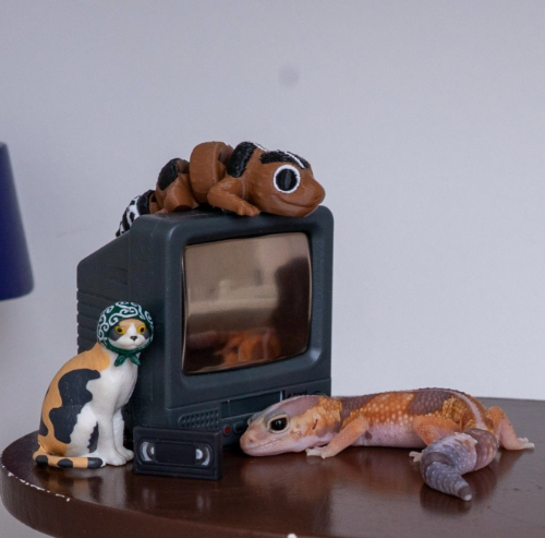 Ȯ�� �̹���