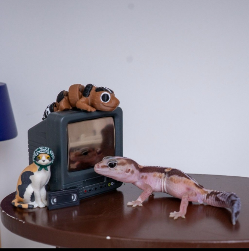 Ȯ�� �̹���