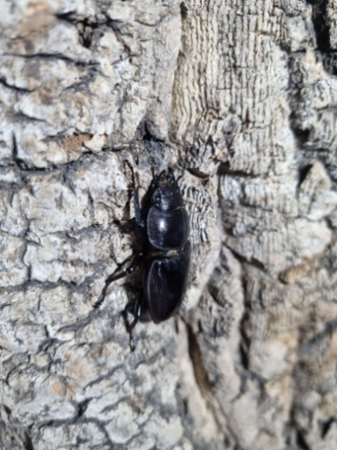 Ȯ�� �̹���