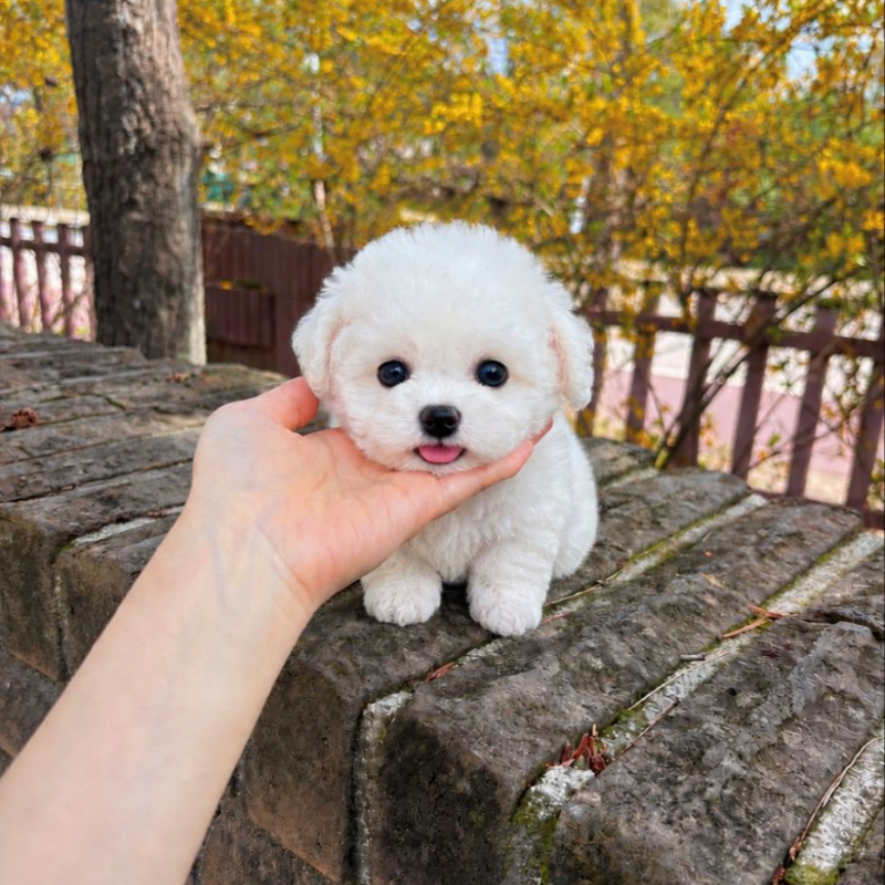 Ȯ�� �̹���