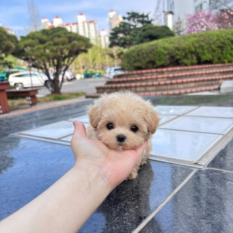 Ȯ�� �̹���