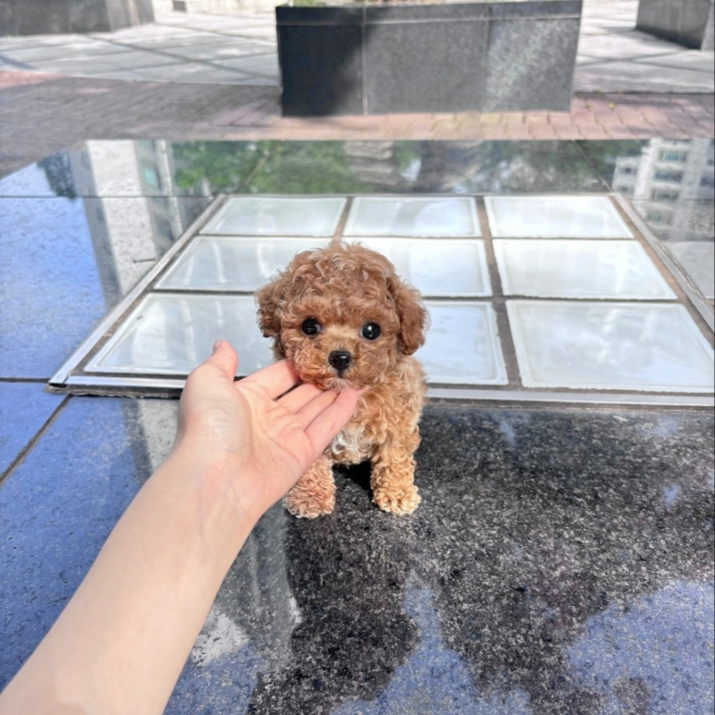 Ȯ�� �̹���