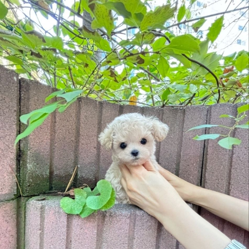 Ȯ�� �̹���