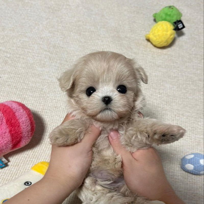 Ȯ�� �̹���