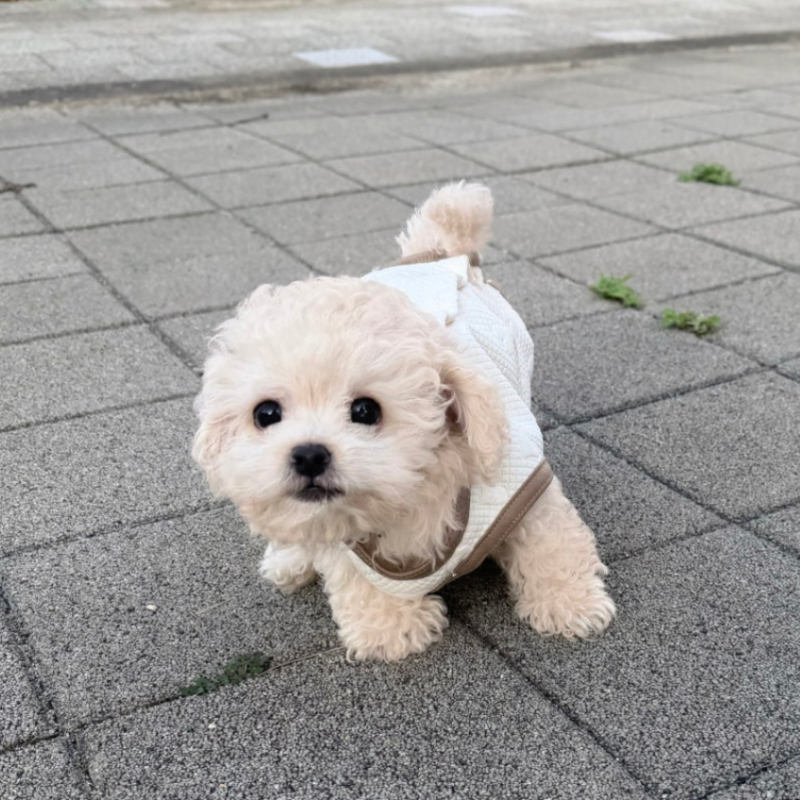 Ȯ�� �̹���