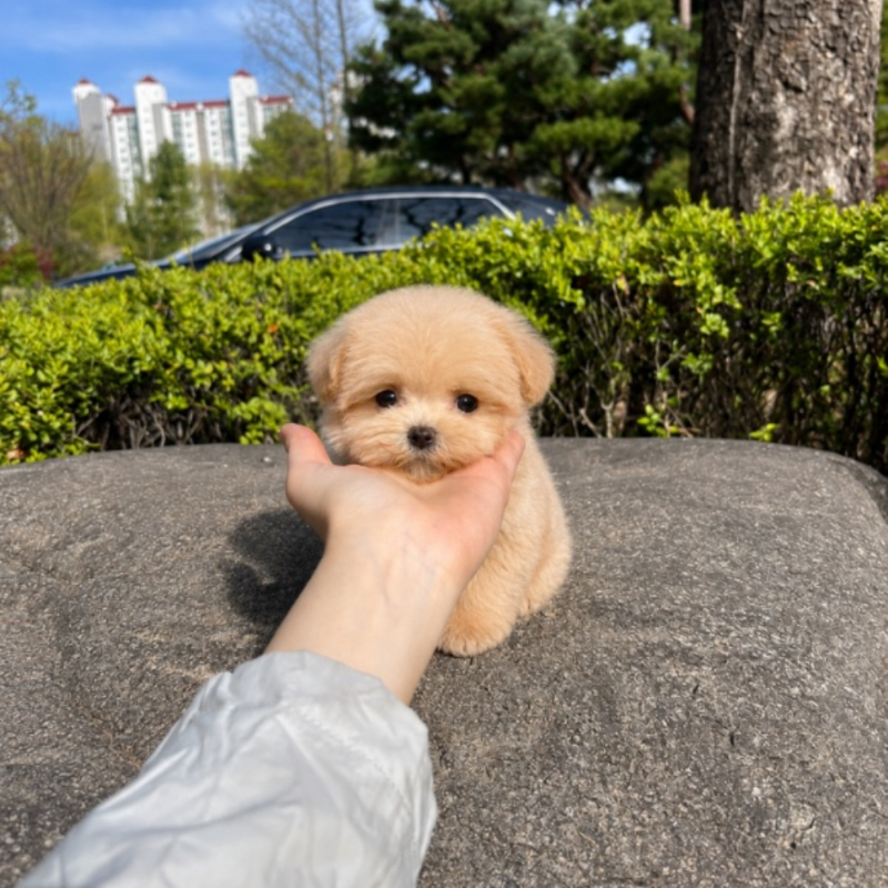 Ȯ�� �̹���