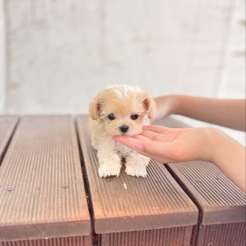 Ȯ�� �̹���