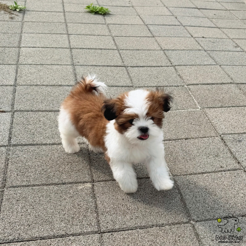 Ȯ�� �̹���