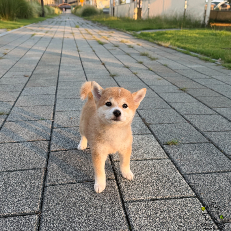 Ȯ�� �̹���
